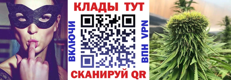 Купить наркоту Кудрово Кокаин  Меф  Alpha PVP  Псилоцибиновые грибы  МАРИХУАНА 