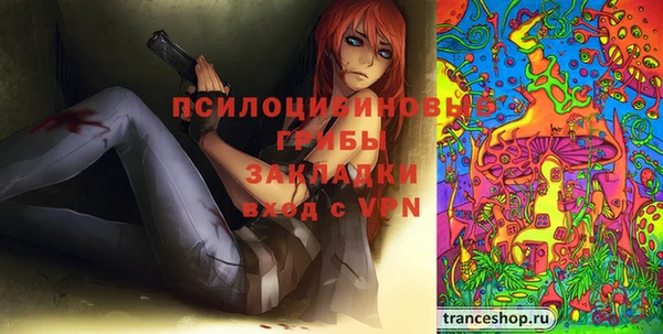 apvp Аркадак