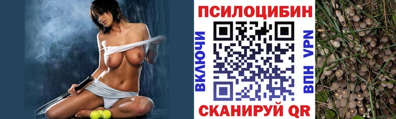 Псилоцибиновые грибы Psilocybe  мориарти как зайти  Кудрово 