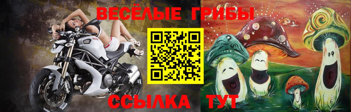 Псилоцибиновые грибы прущие грибы Кудрово