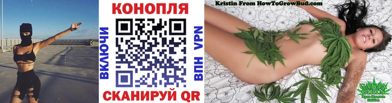 Конопля планчик  Кудрово 